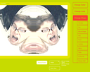 Silly face transformed by the exhibit